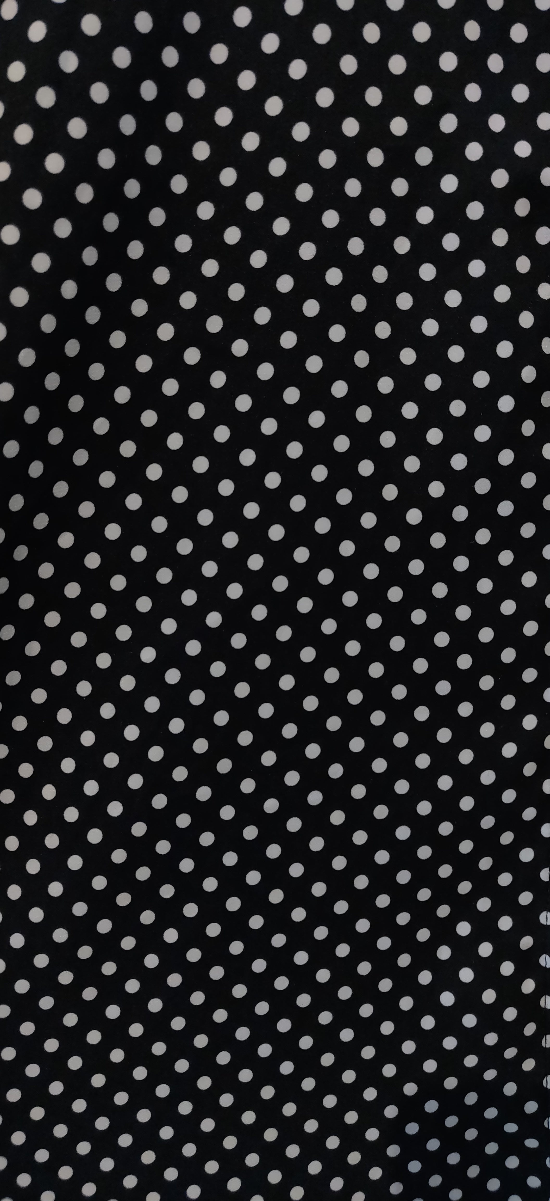 Philosophy Republic Button Up Polka Dot Blouse