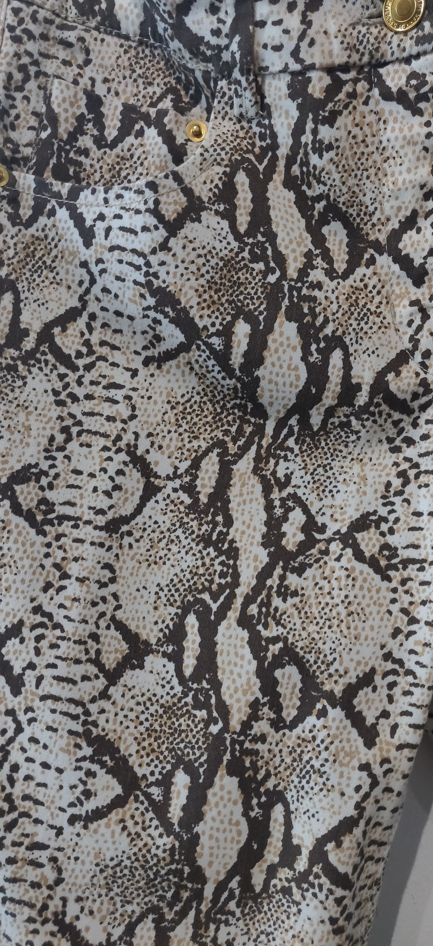 H&M High Waist Snakeskin Animal Print Leg Trousers
