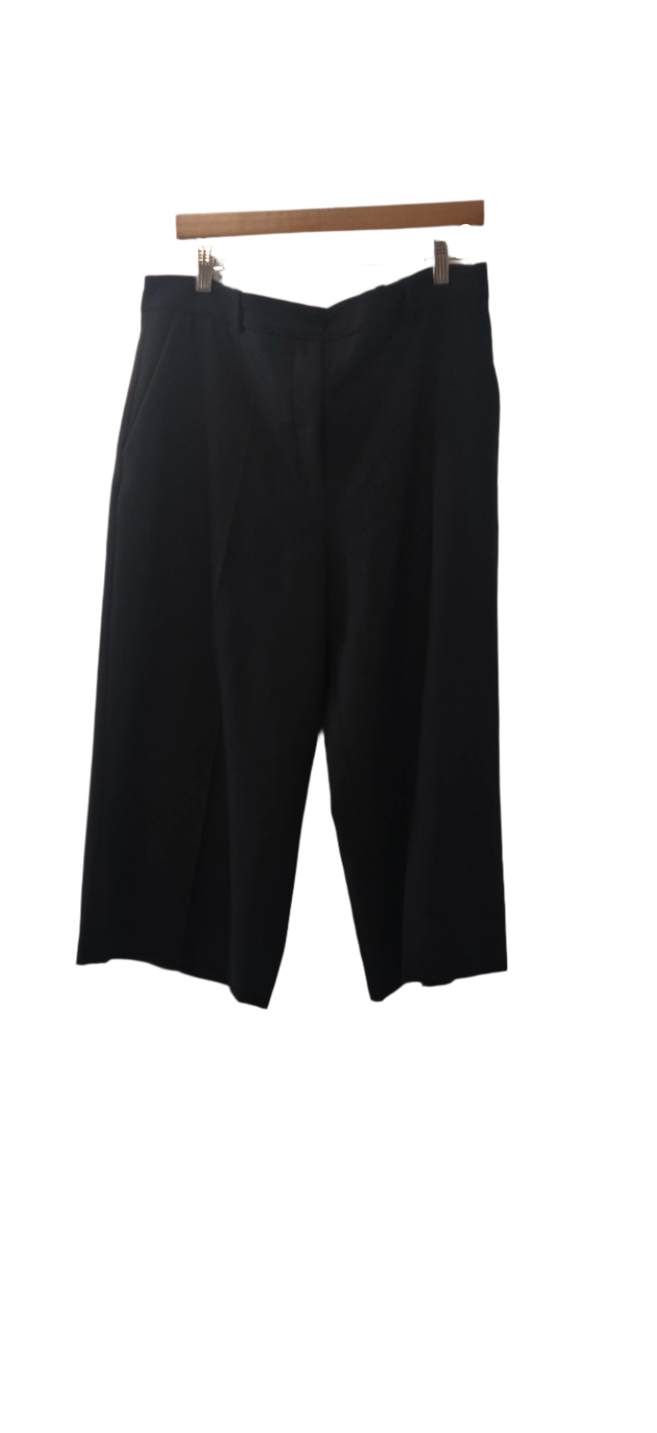 Zara Basic Formal Dress Shorts